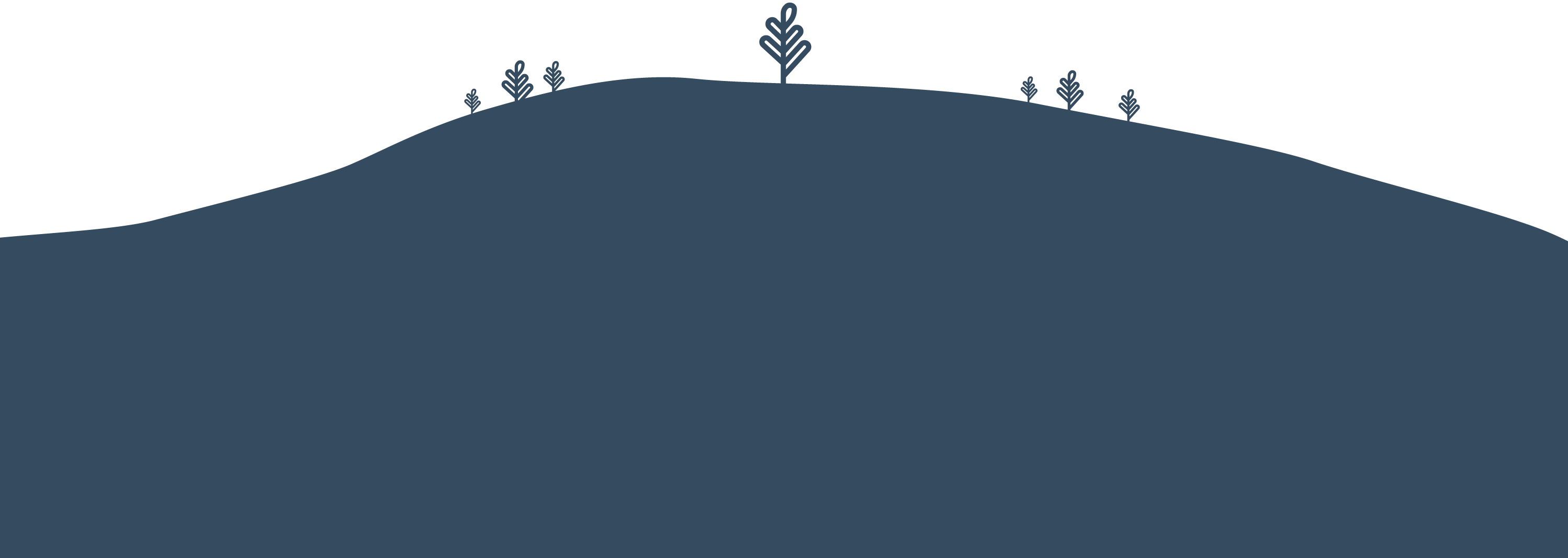 oaktreecapitalpartnerstreelinegrapchic Great Oak Capital Partners