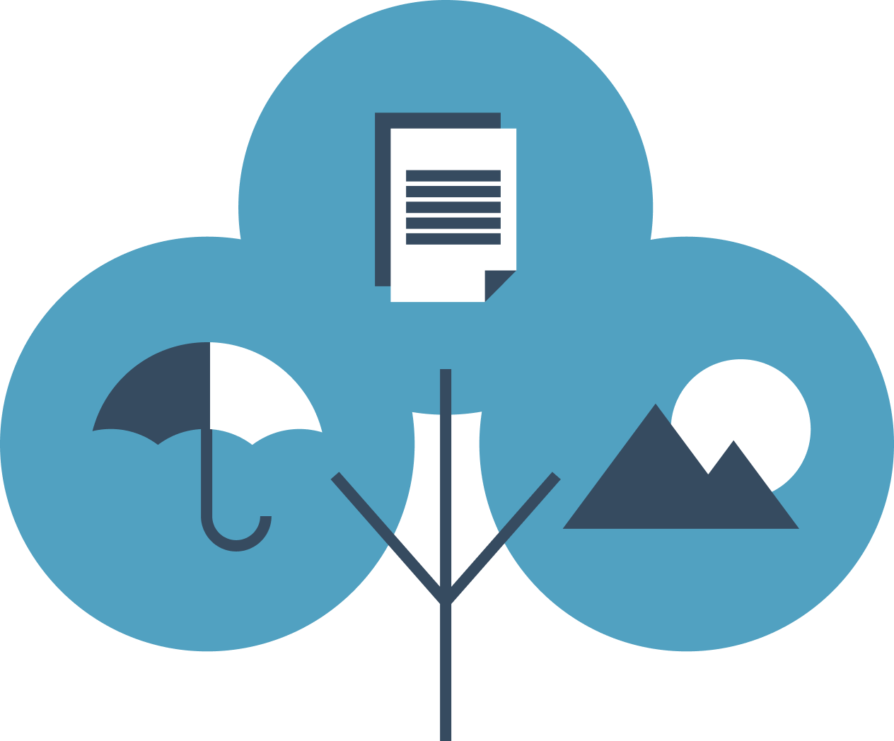 Great Oak Capital Partners - one stop shop tree
